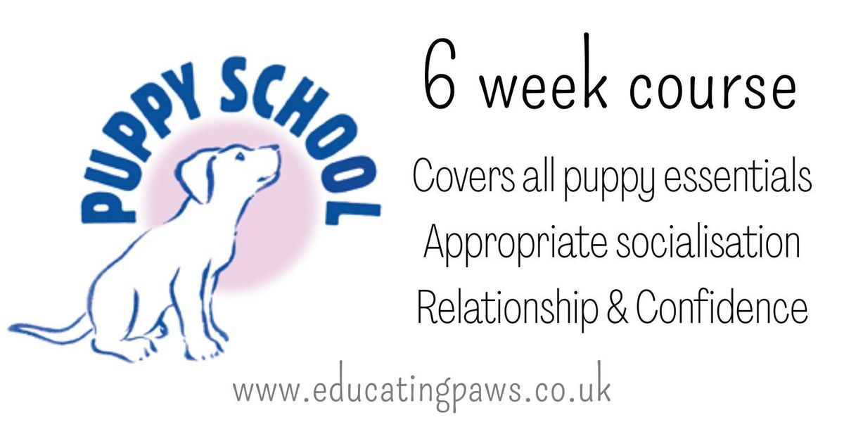 Puppy School 6 week course - Hoveton 