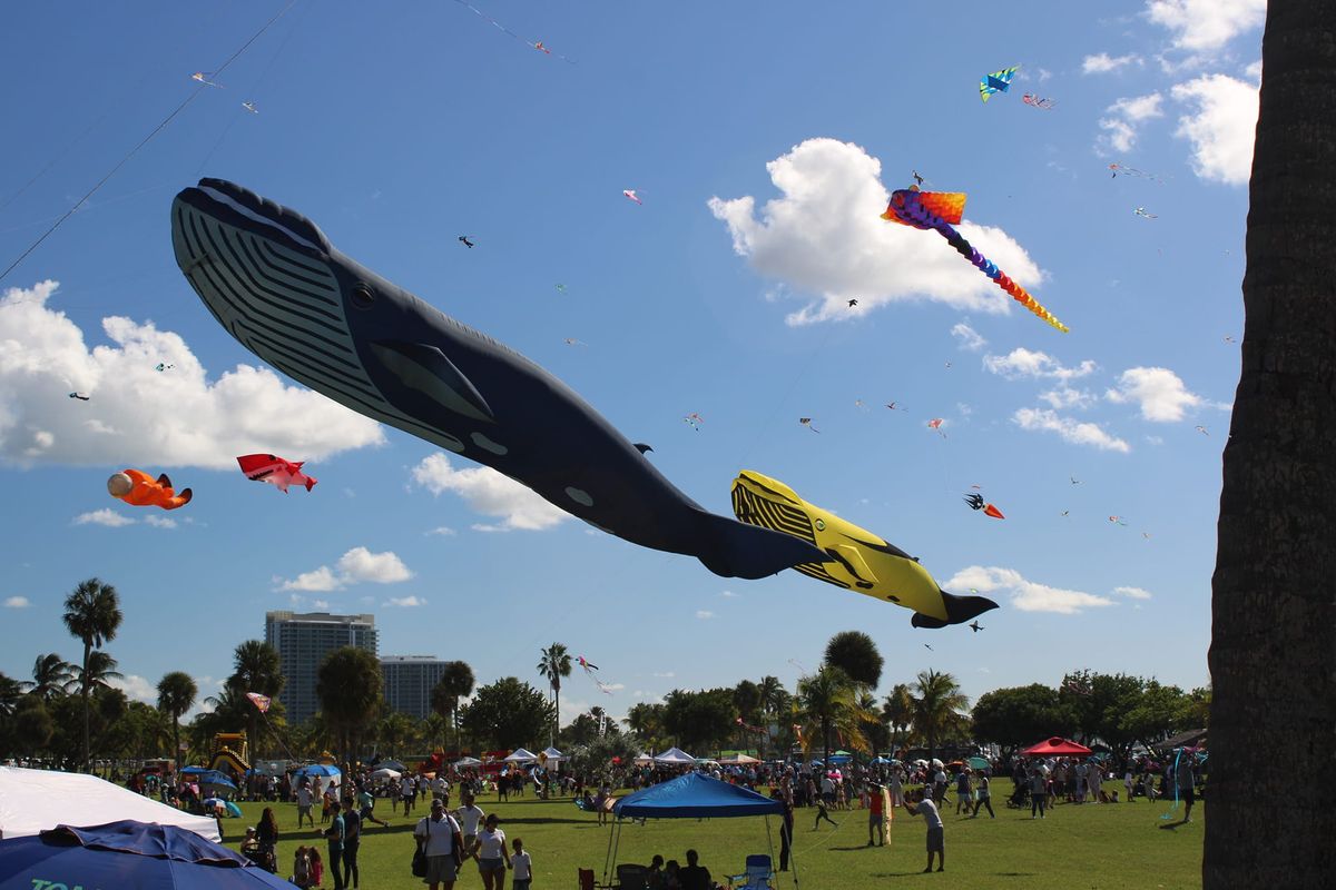 33rd Annual February Kite Festival at Haulover Park