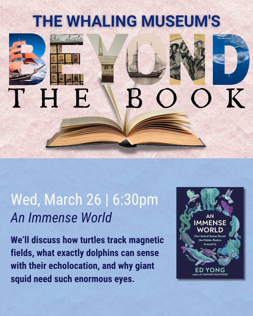 Beyond the Book: An Immense World