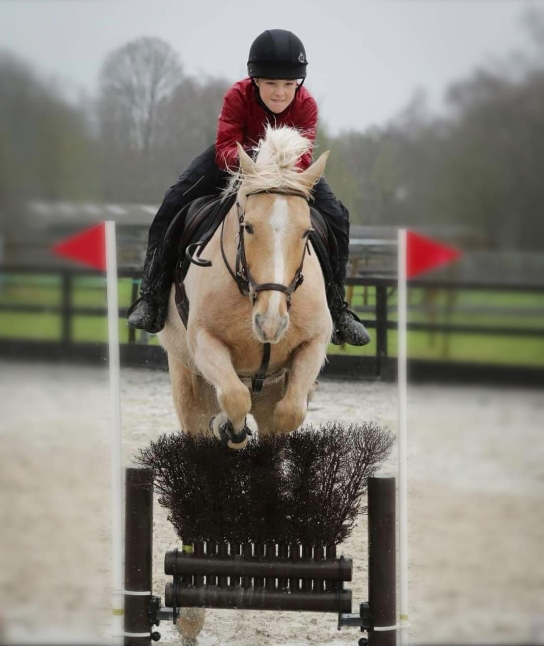 Arena Eventing Clinic with Cheryl Bezants 