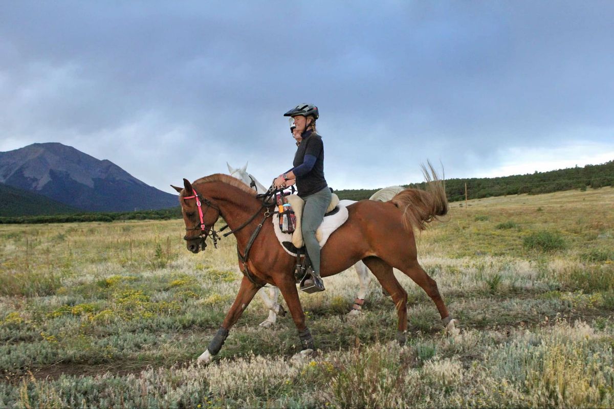 Distance Riding Clinic