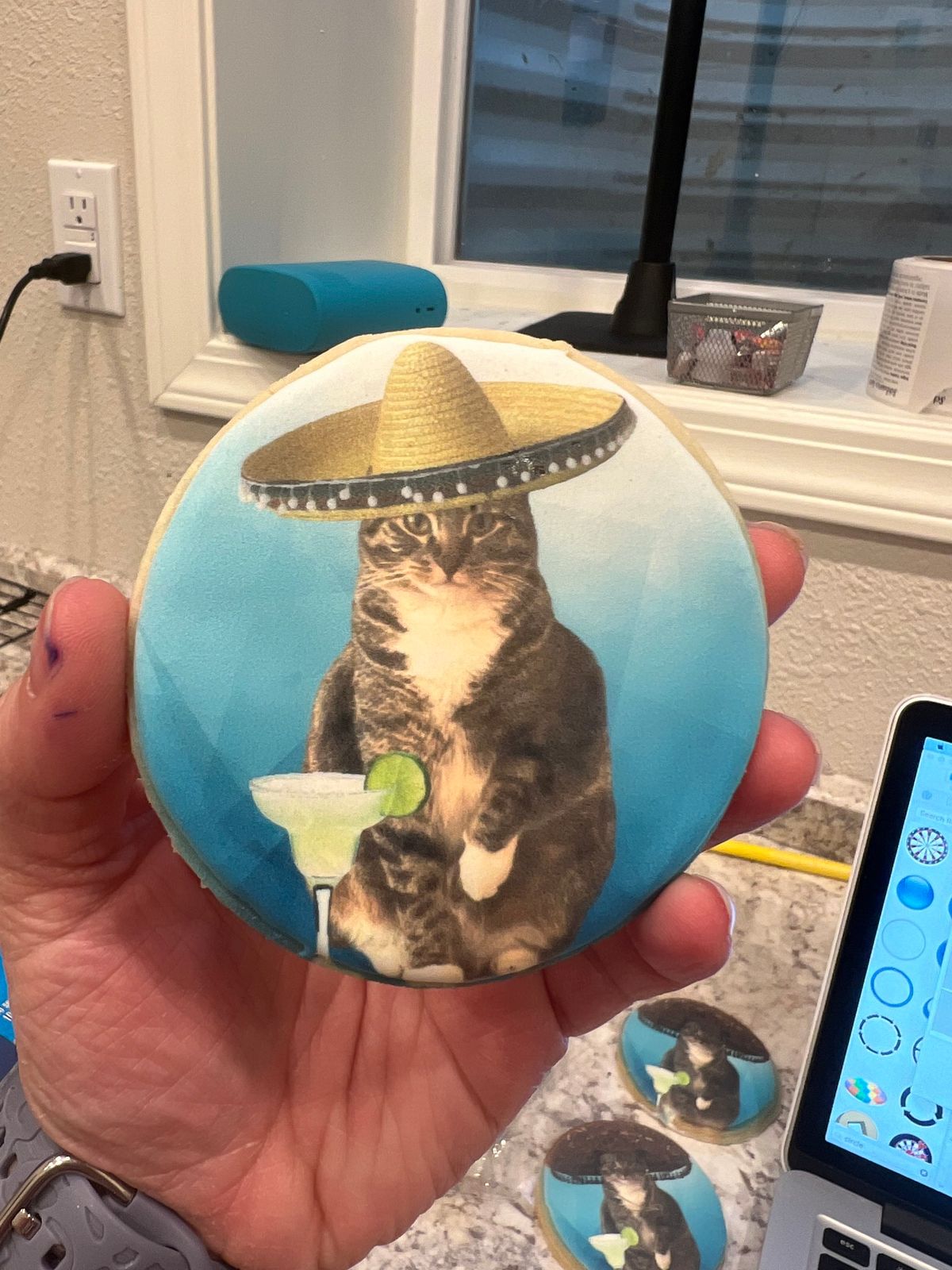 May 5th Cinco de Meow Cookie Class at Beyond All Means Brewing