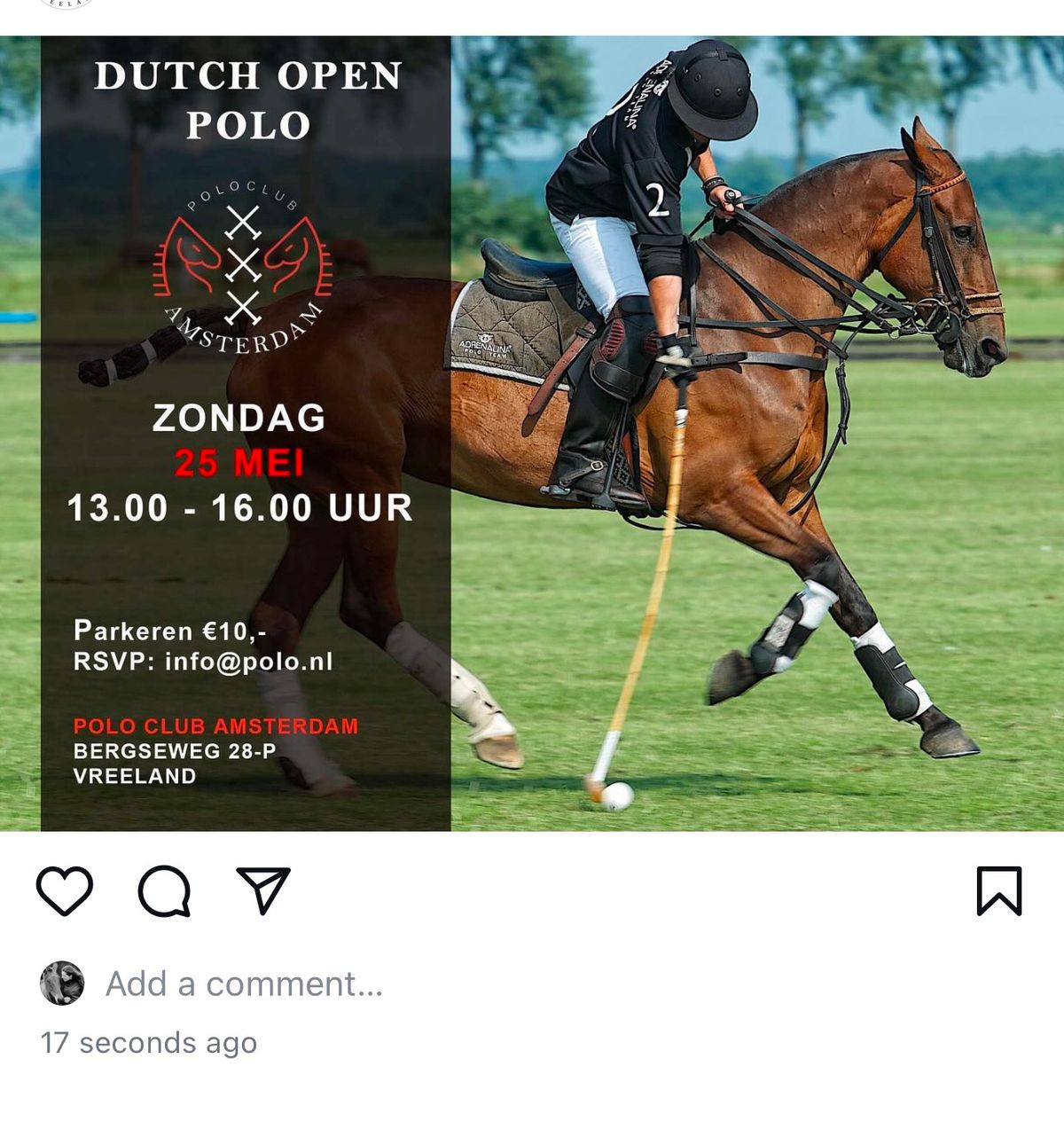 Dutch Polo