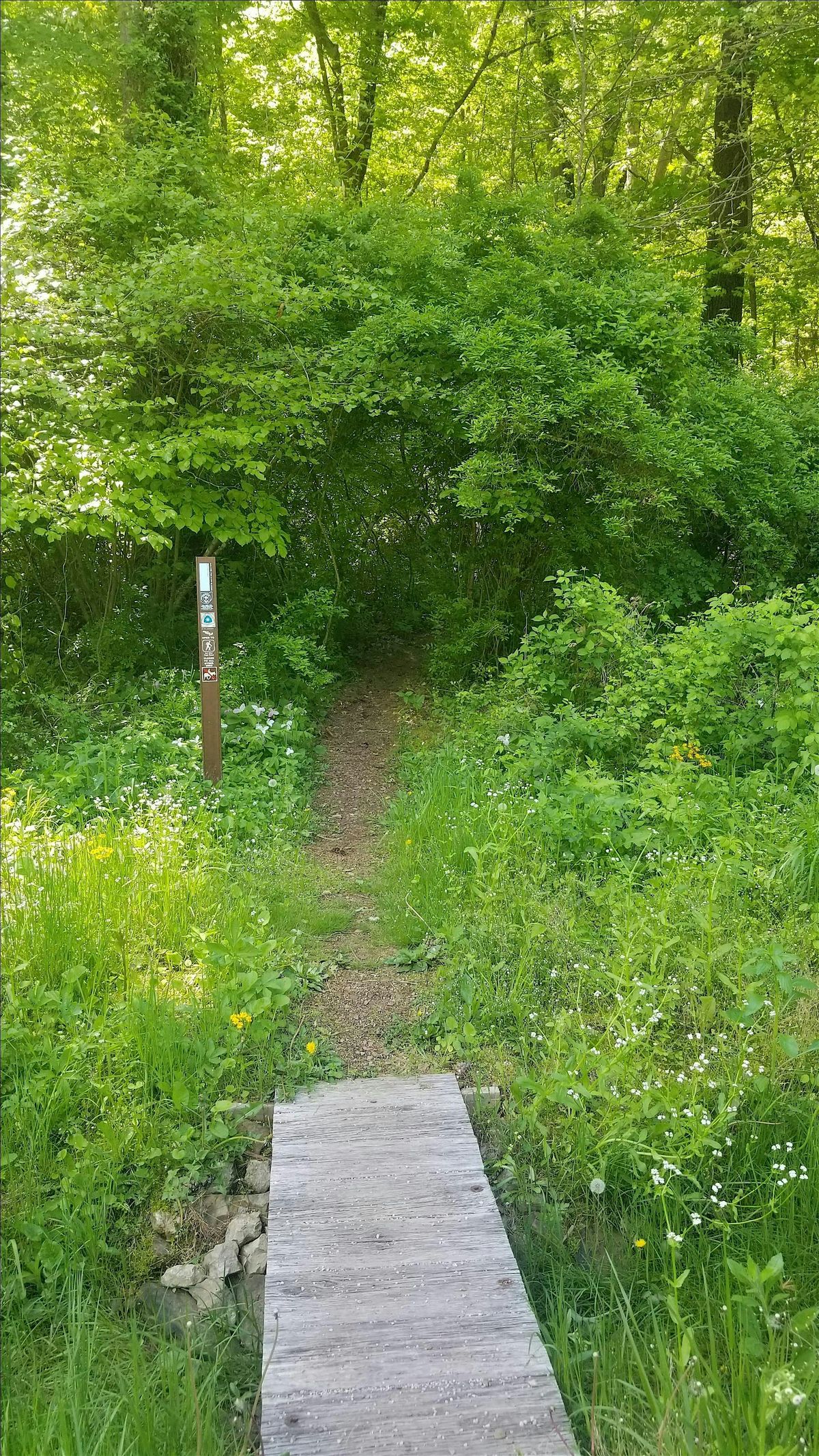 SCIOTO SATURDAYS: HIKE #3 (Pt 20 -14)(9.4miles)(1,335 Ascent)