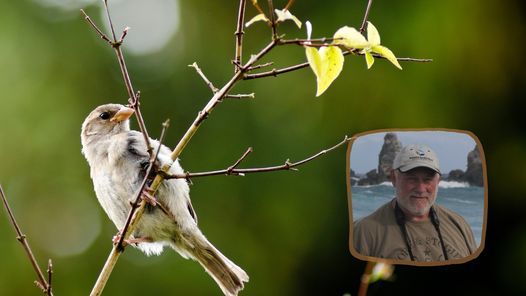 Beginning Birding with Chuck Gates*