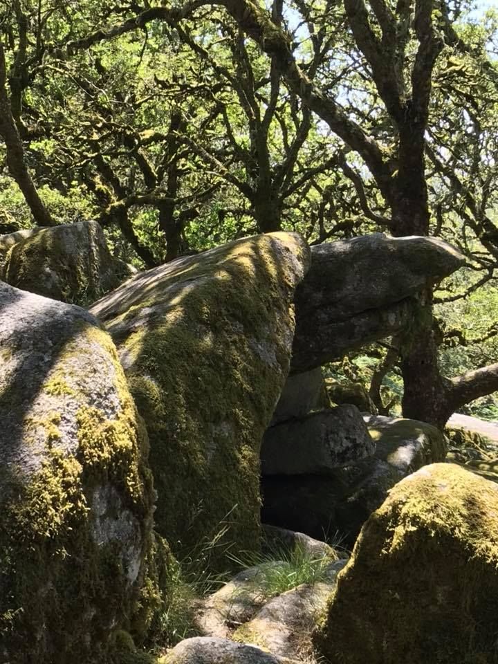 Shamanic Healing Retreat Dartmoor 2024