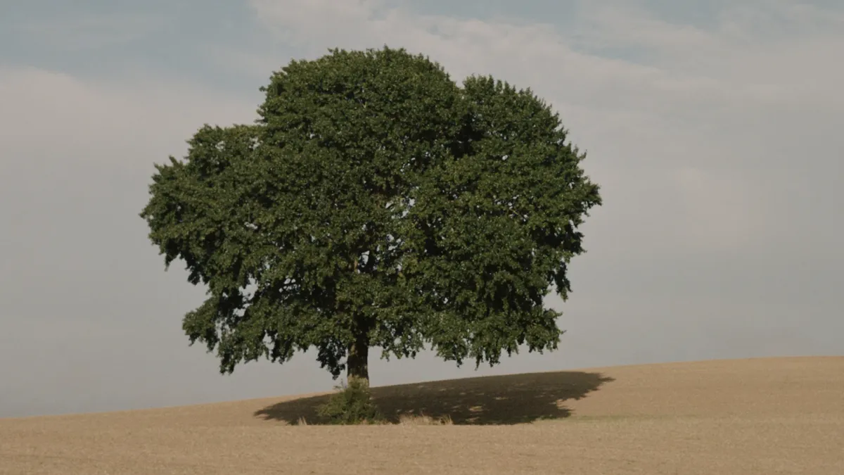 Guldimund in Aalborg