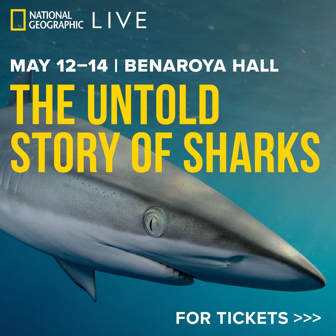 National Geographic Live: The Untold Story of Sharks