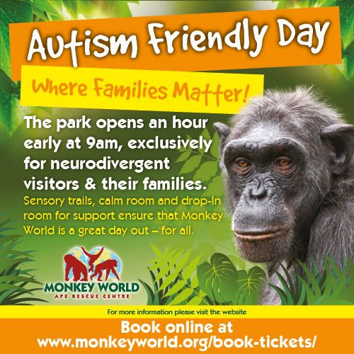 Autism Friendly Day at Monkey World