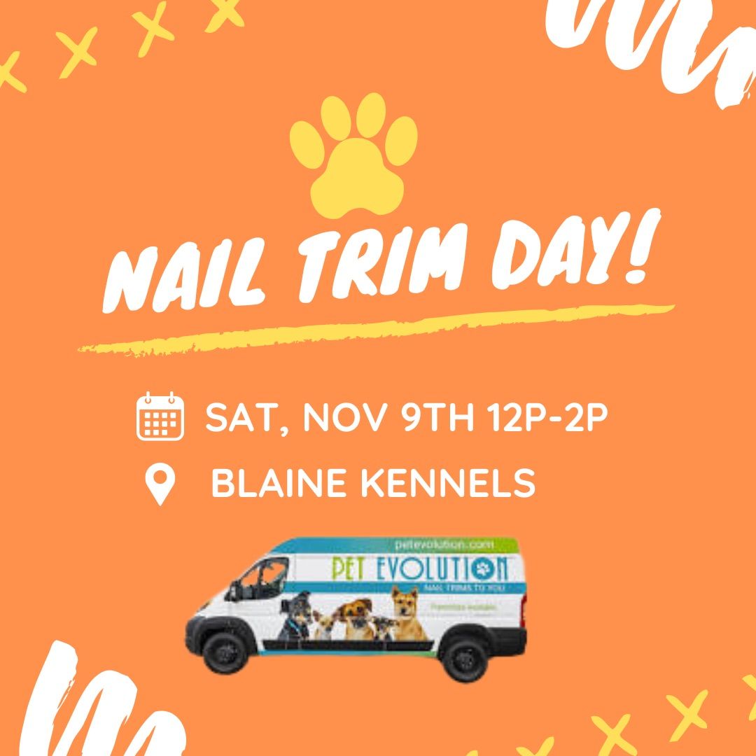 Nail Trim Day! \/\/ Nov 9th