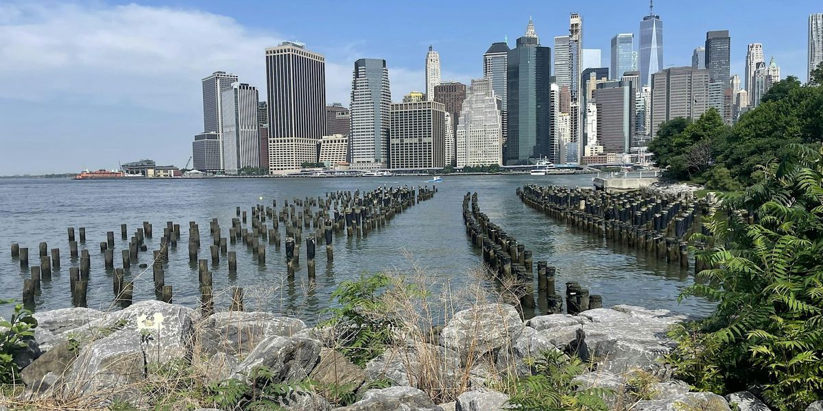 Walk Manhattan to Brooklyn, Red Hook, Industry City and more!