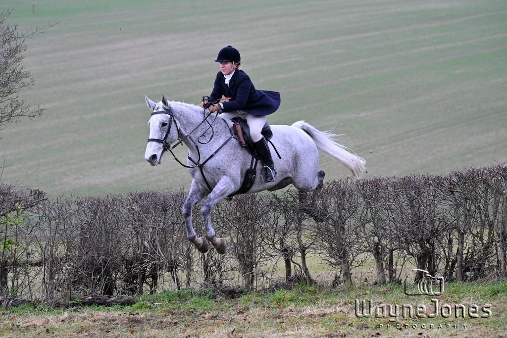 Milton Hill Farm Joint Meet with the New Forest Hounds - Berks and Bucks Draghounds 