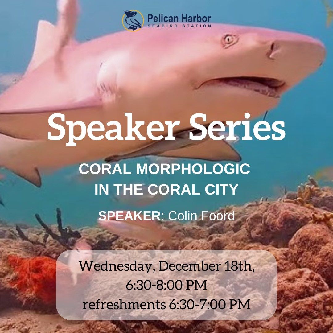 Speaker Series: Coral Morphologic in The Coral City