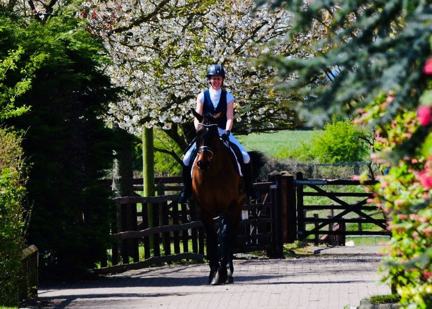 Unaffiliated Dressage at Moulton College Equestrian Centre