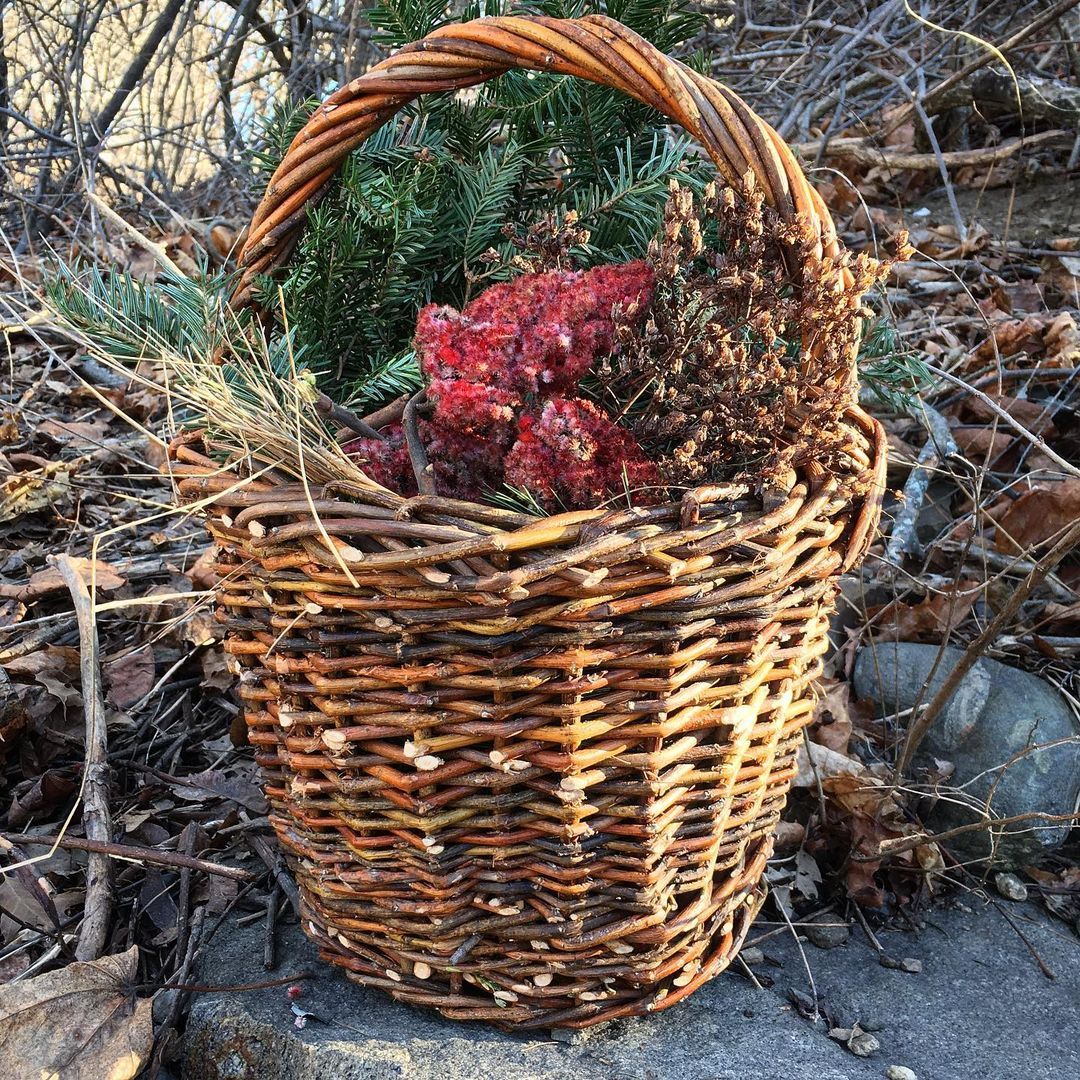 Wild Willow Baskets