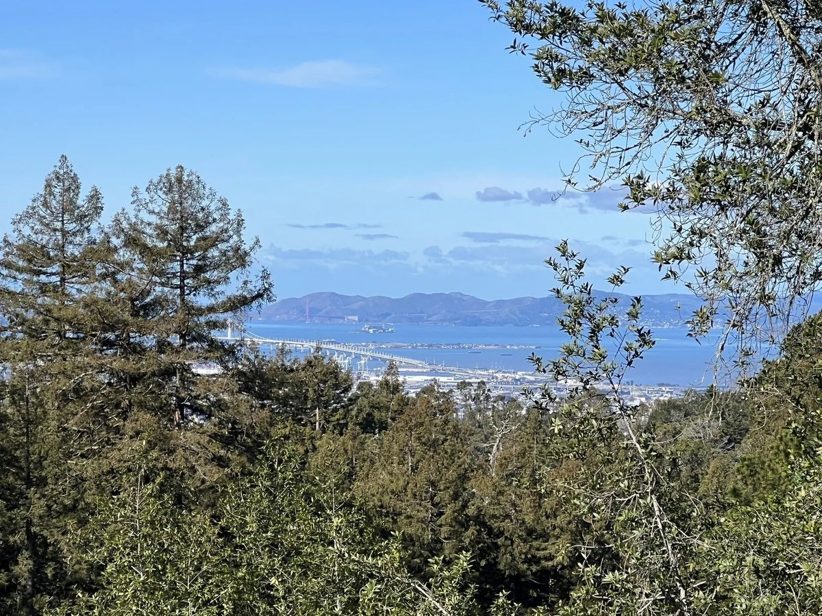 Bay Area Meetup: Hike the Sequoia Trail