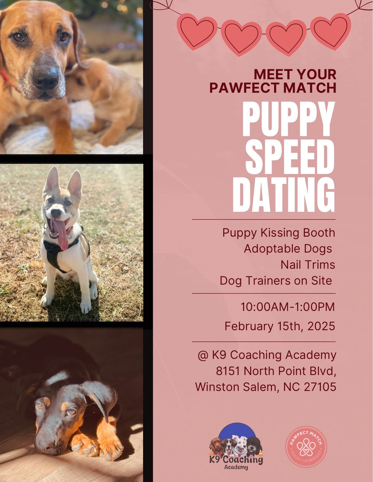 Puppy Speed Dating