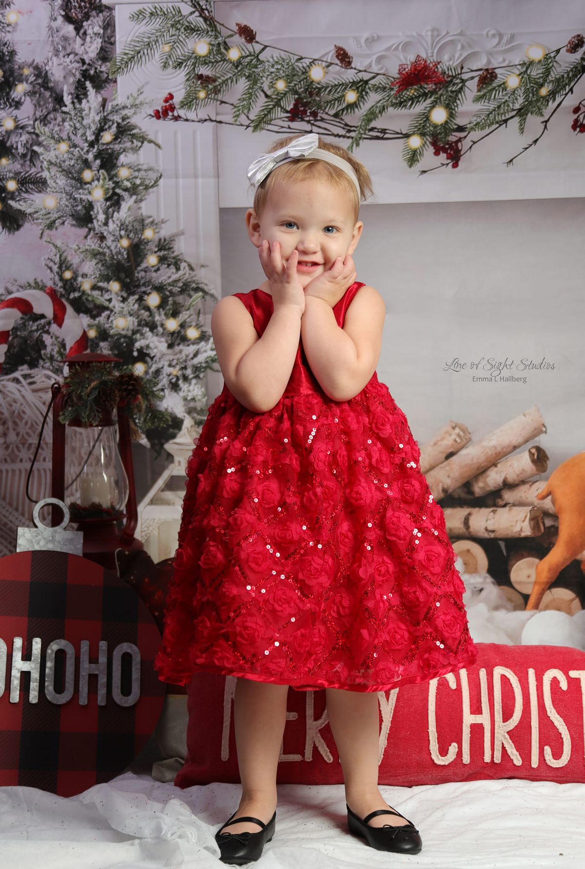 2024 Christmas Mini Sessions