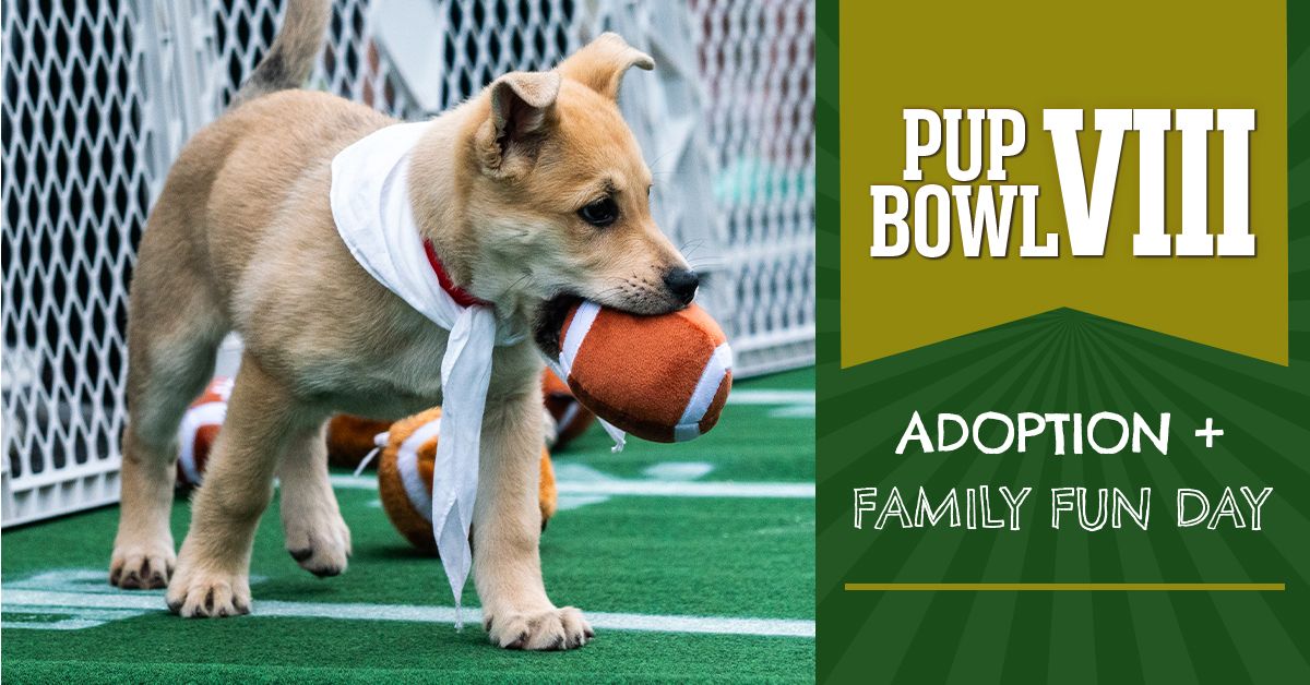 Pup Bowl VIII: Where Every Adoption is a Touchdown