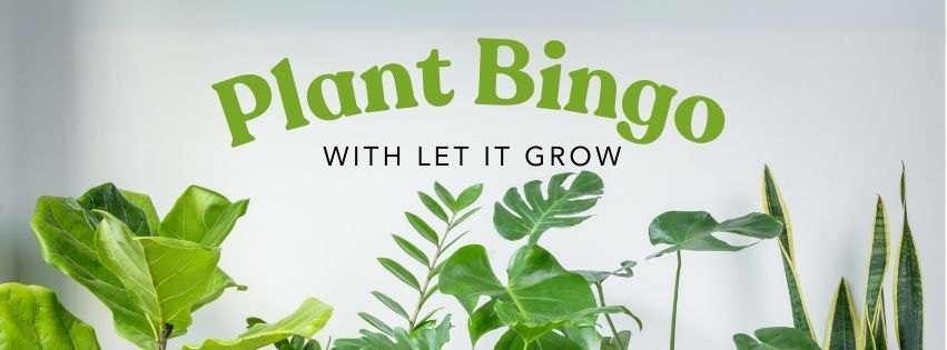 Plant Bingo