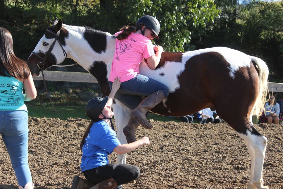 Clinic - Games on Horseback and Anatomy Lab