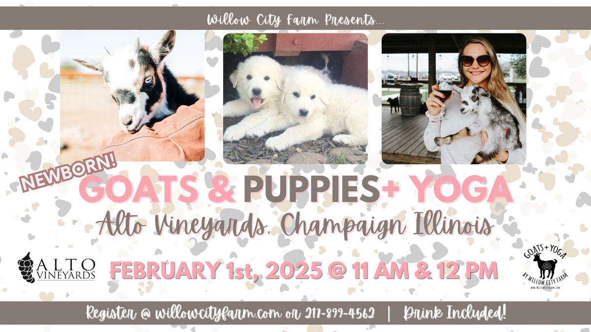 NEWBORN Goats & PUPPIES + Yoga Pajama Party @ Alto Vineyards