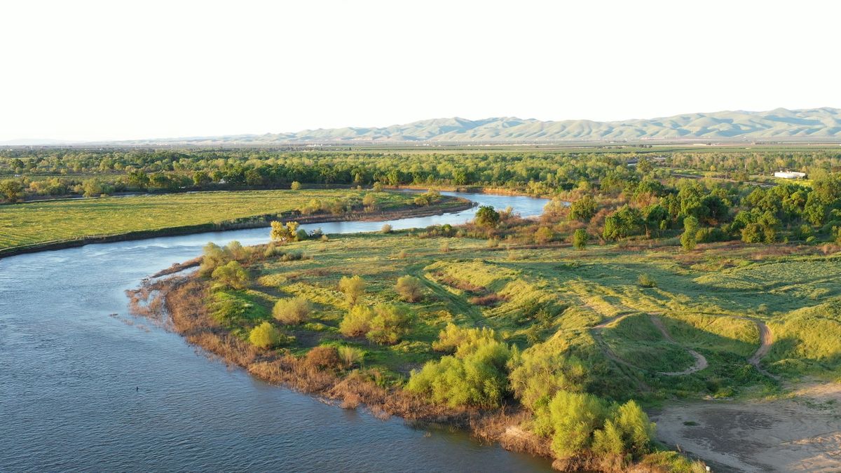 Floodplain Forest