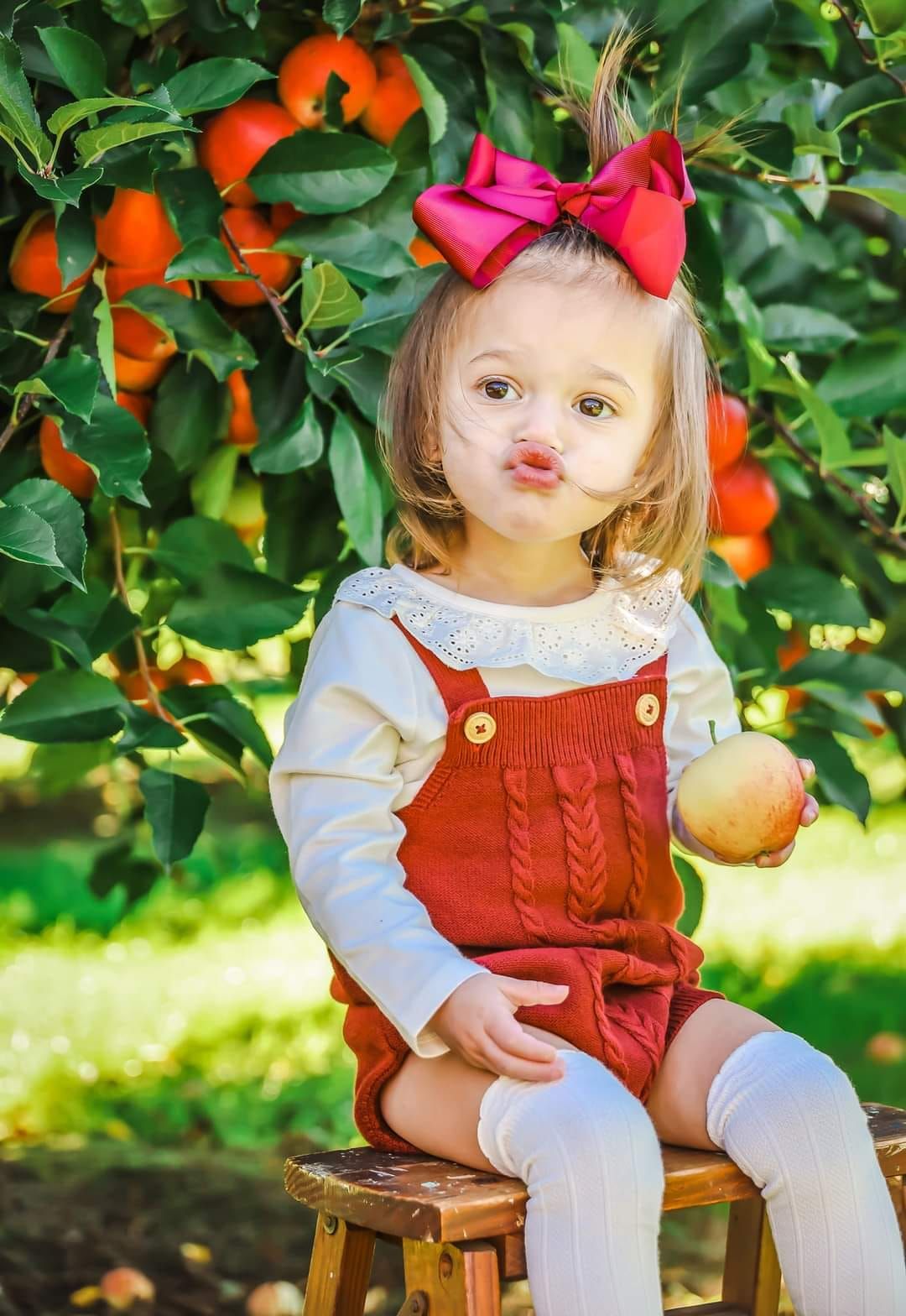 Apple Picking Fall Mini Sessions