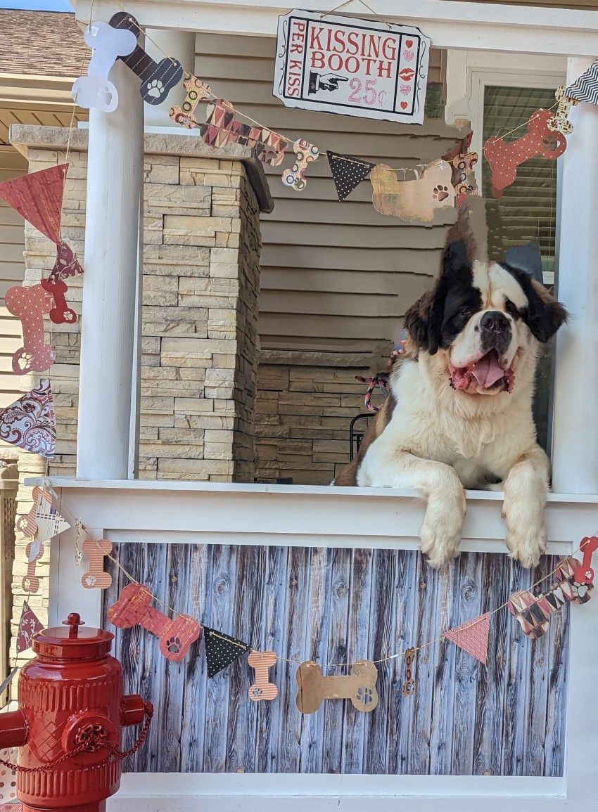 Pawfer-Billy Doggie Kissing Booth