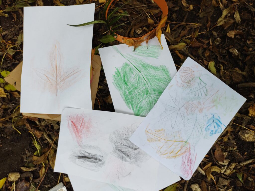 Art in the Woods for 5 to 10 year olds