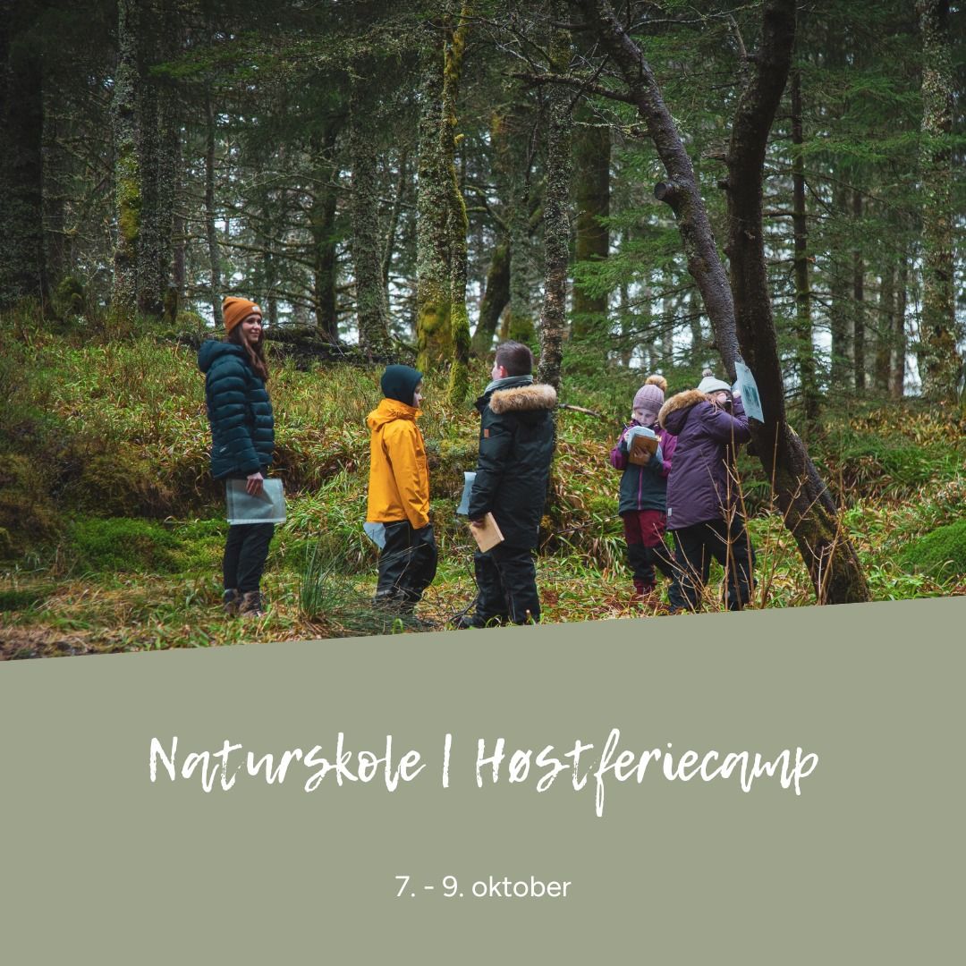 Naturskole | H\u00f8stferiecamp