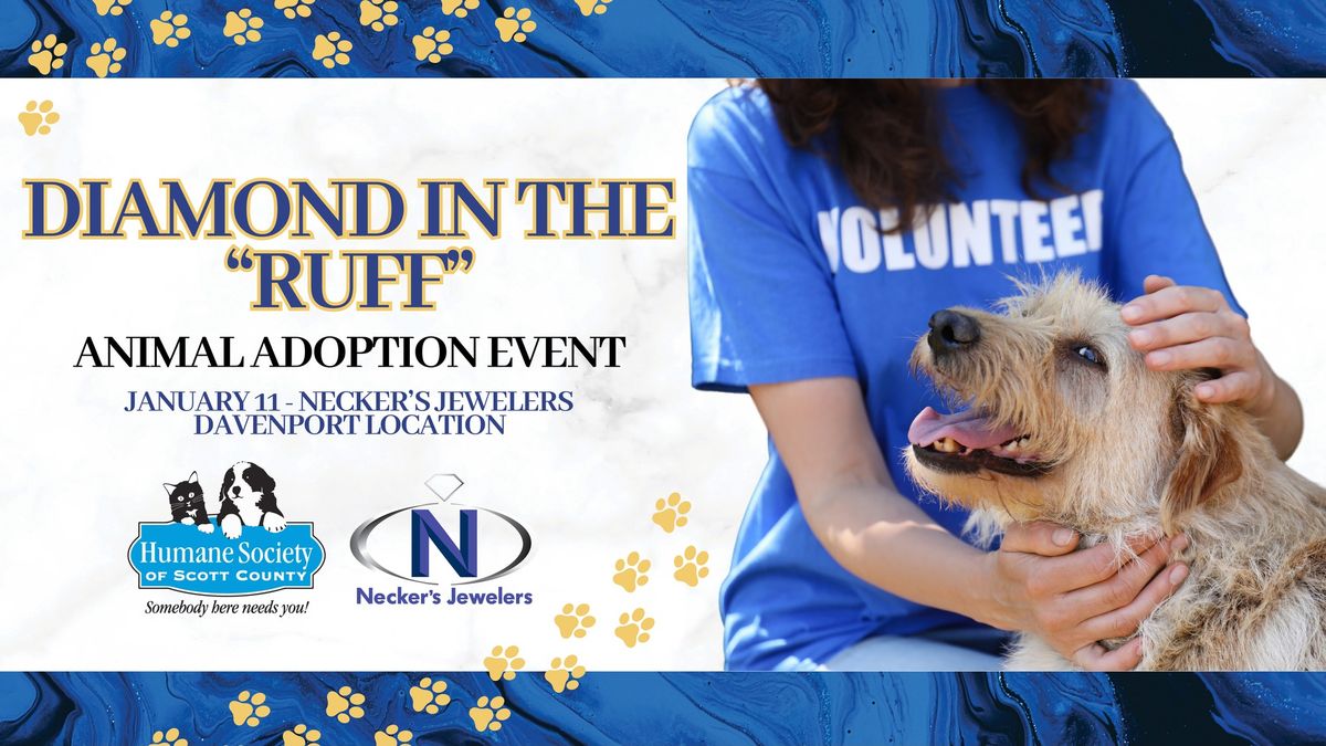 Diamond in the "RUFF" Adoption Event with the Humane Society of Scott County at Necker's Jewelers