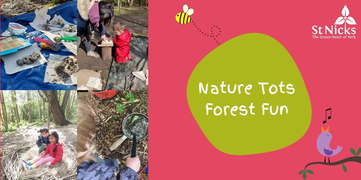 Nature Tots Forest Fun