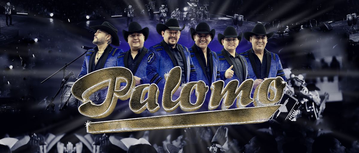 Palomo in Laredo