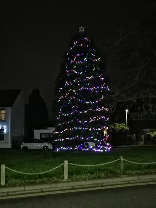 Werrington Christmas Tree Light Switch On