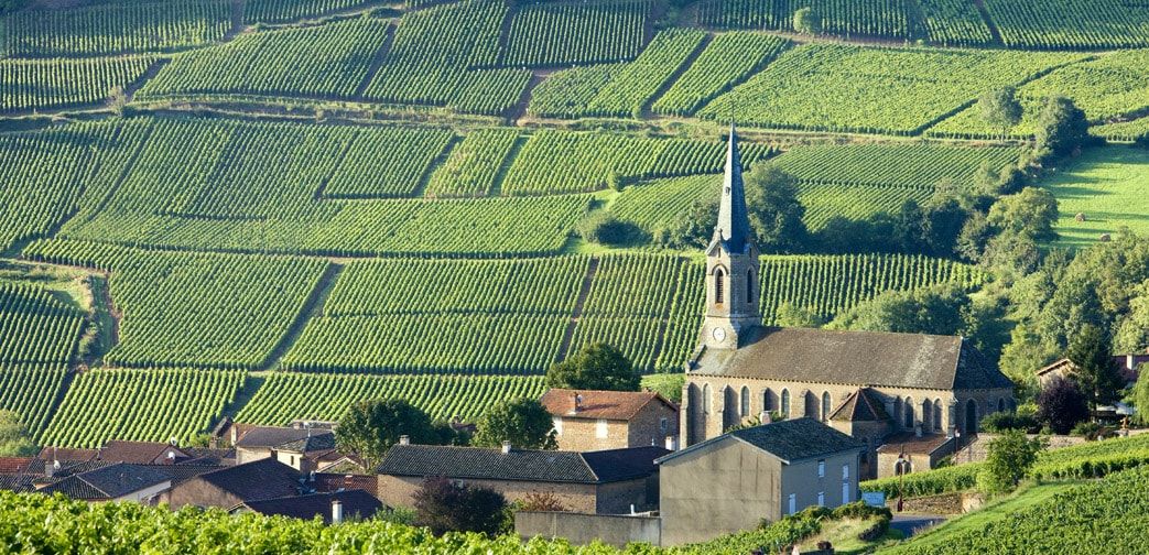 Burgundia - Domaine Forey&Fils i Domaine Tortochot.