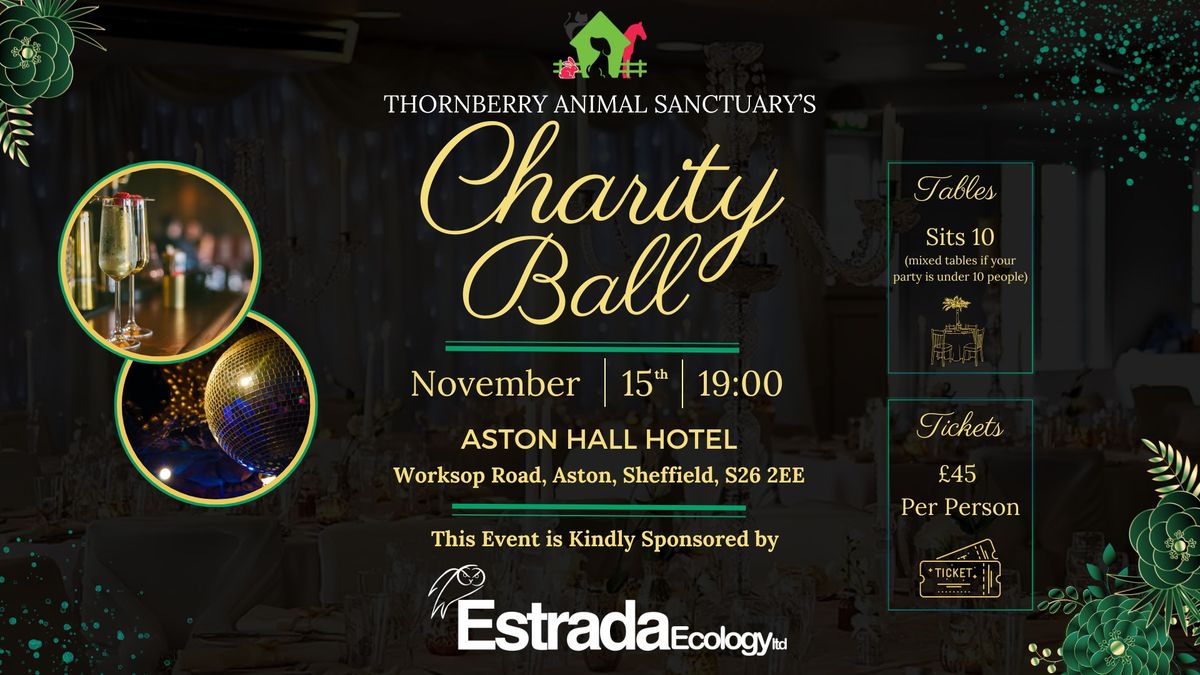 Charity & Christmas Ball