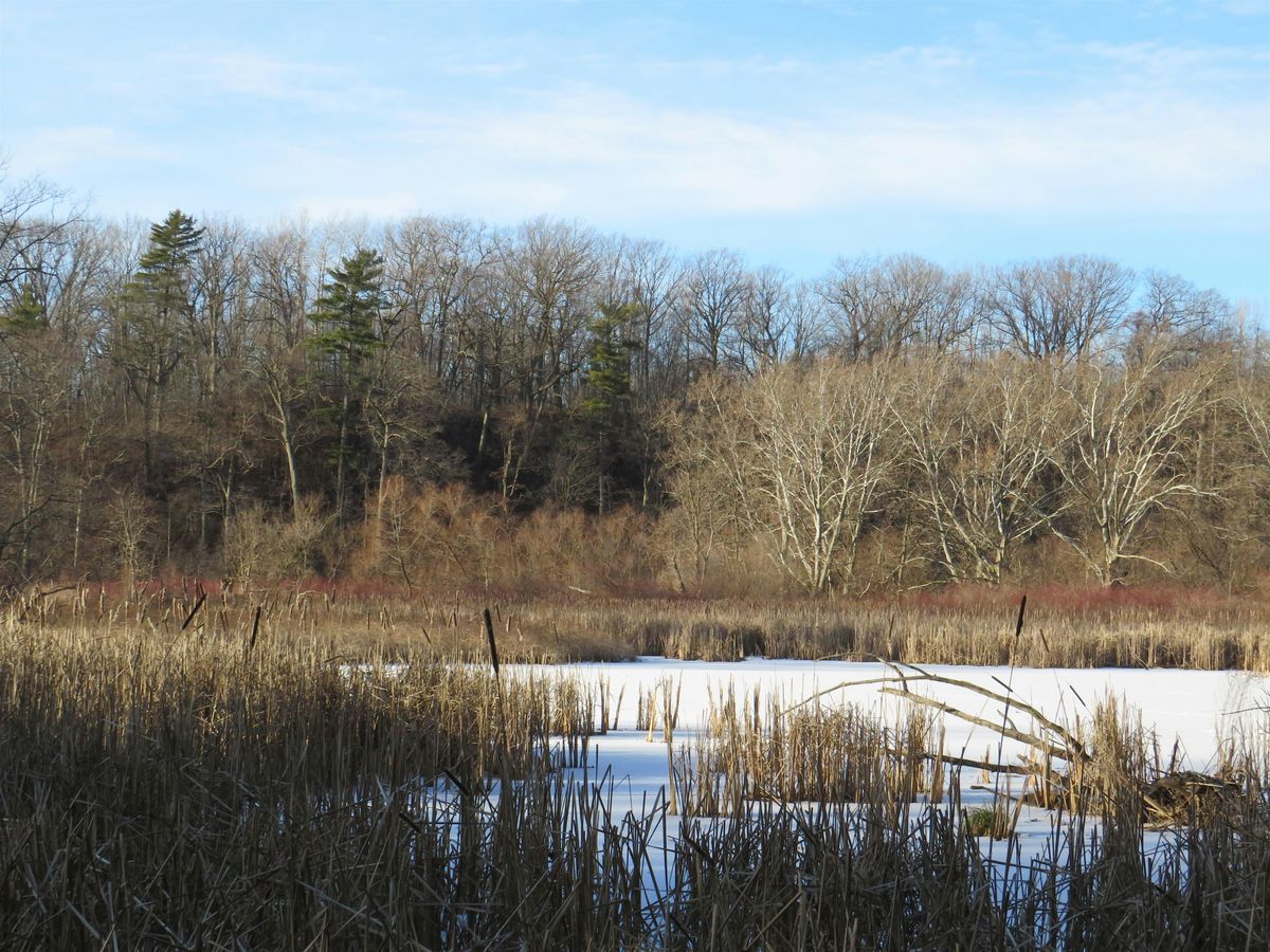 Exam De-Stress Hike #2