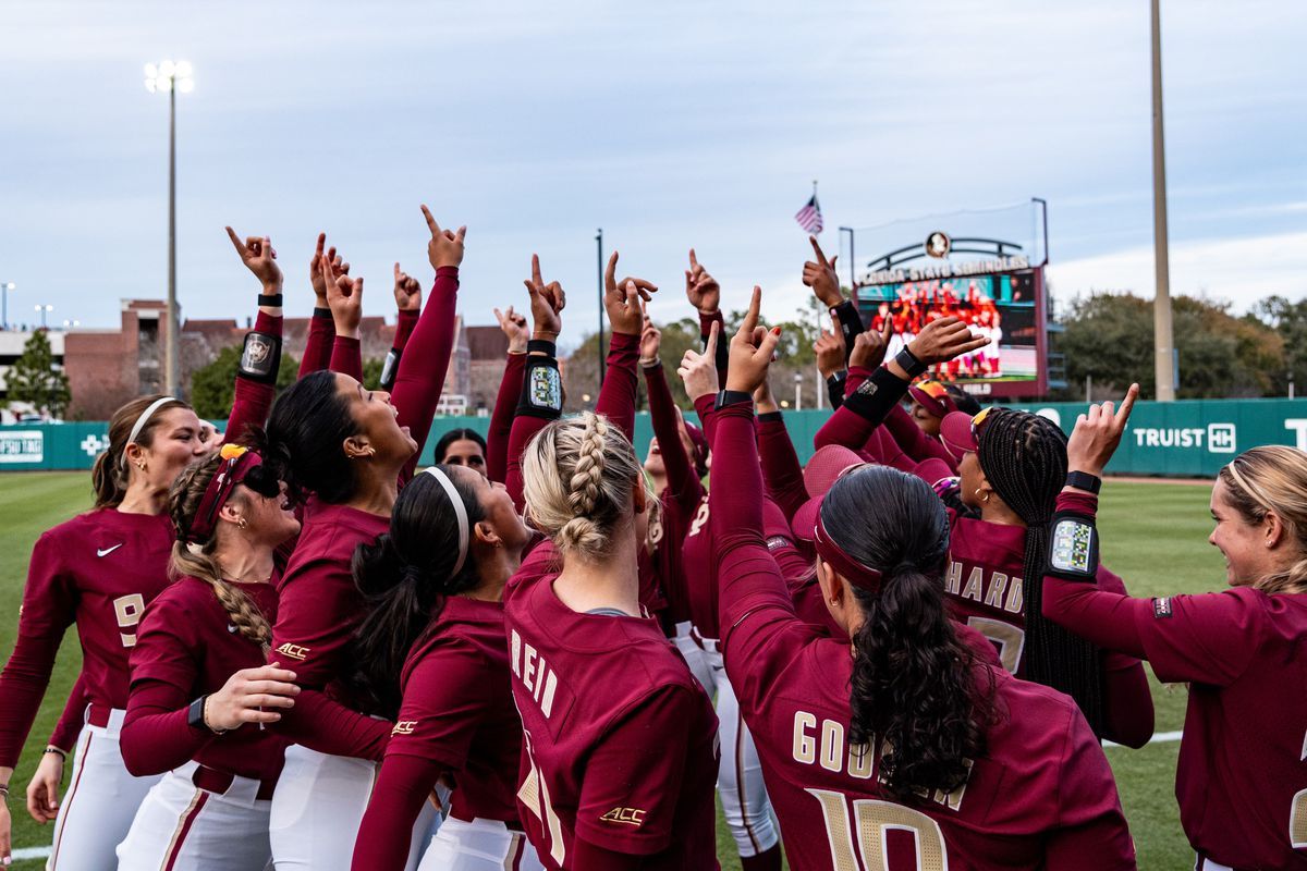 Texas Tech Red Raiders Softball at South Carolina Gamecocks Softball