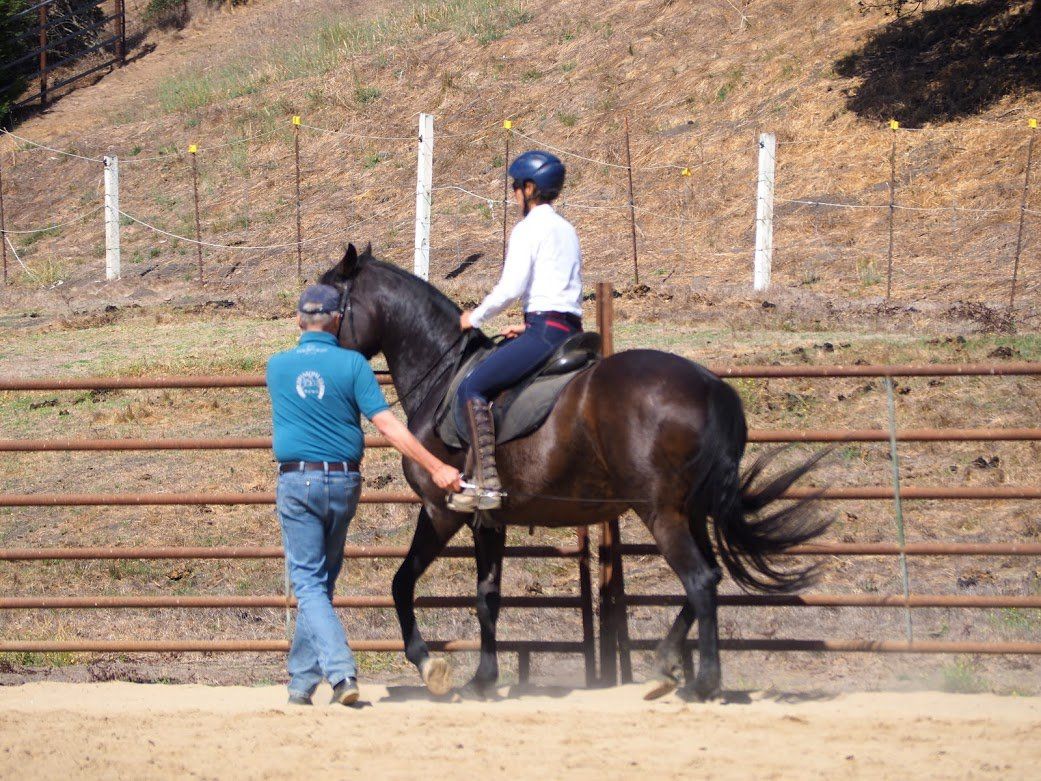 Dr. Gerd Heuschmann Clinic \u2014 Jec Ballou Equine Fitness & Performance