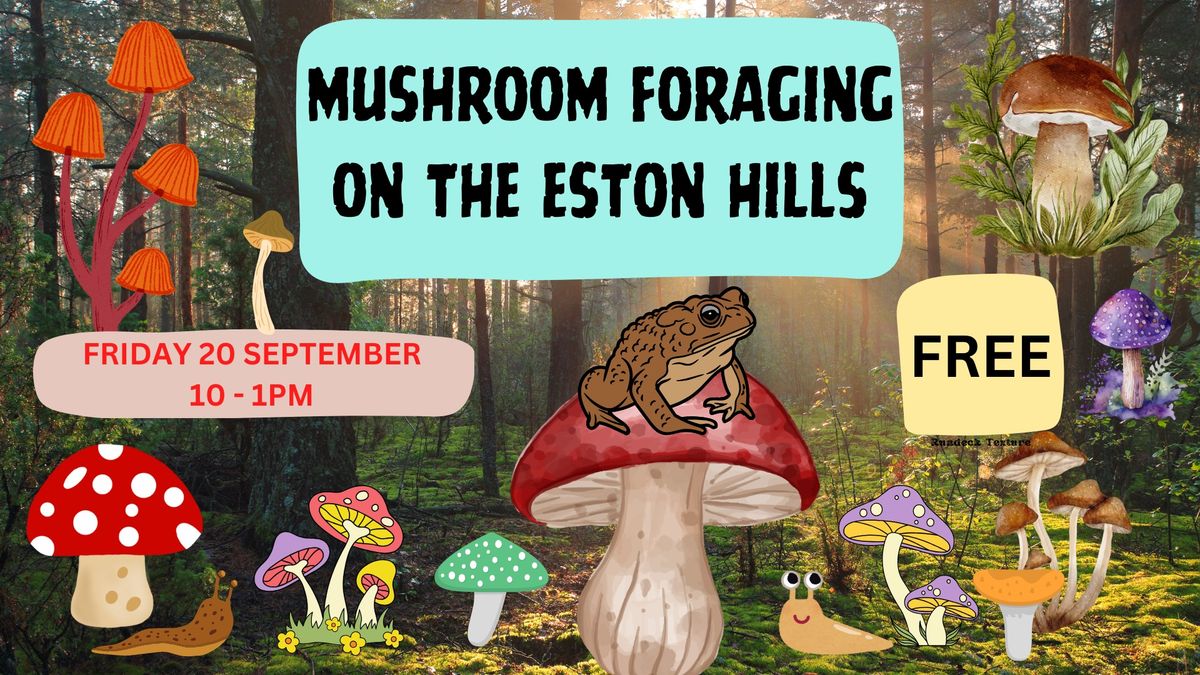 MUSHROOM FORAGING ON THE ESTON HILLS