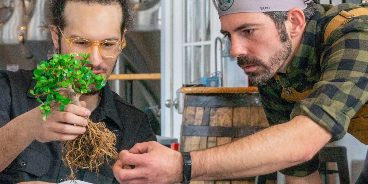 Bonsai Beginner Workshop at Jersey Cyclone Brewing Company