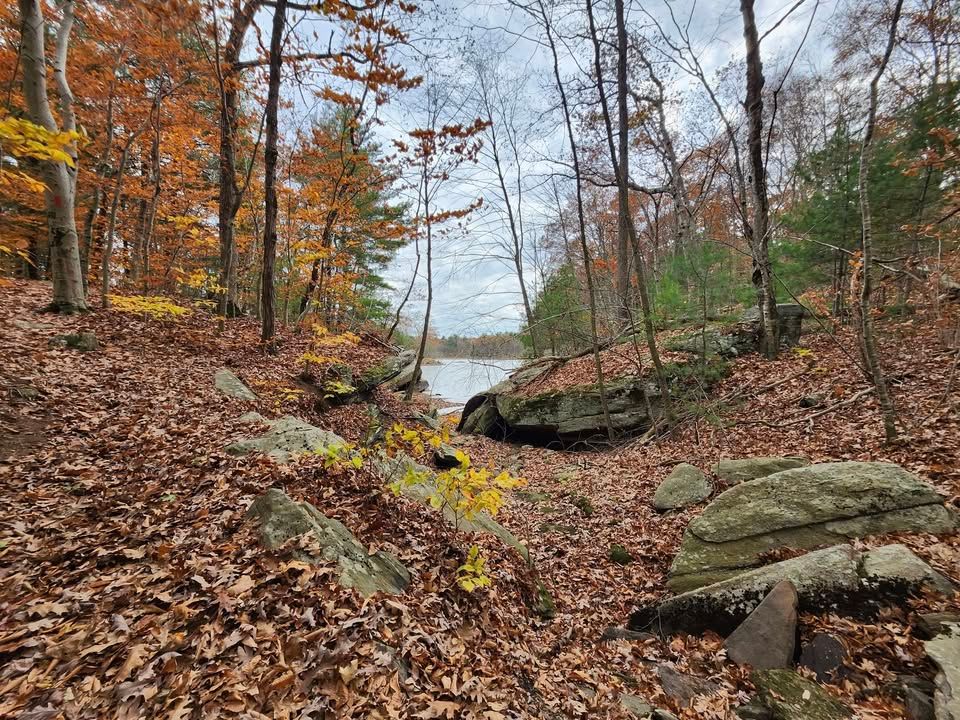 Camp Shepard Hike