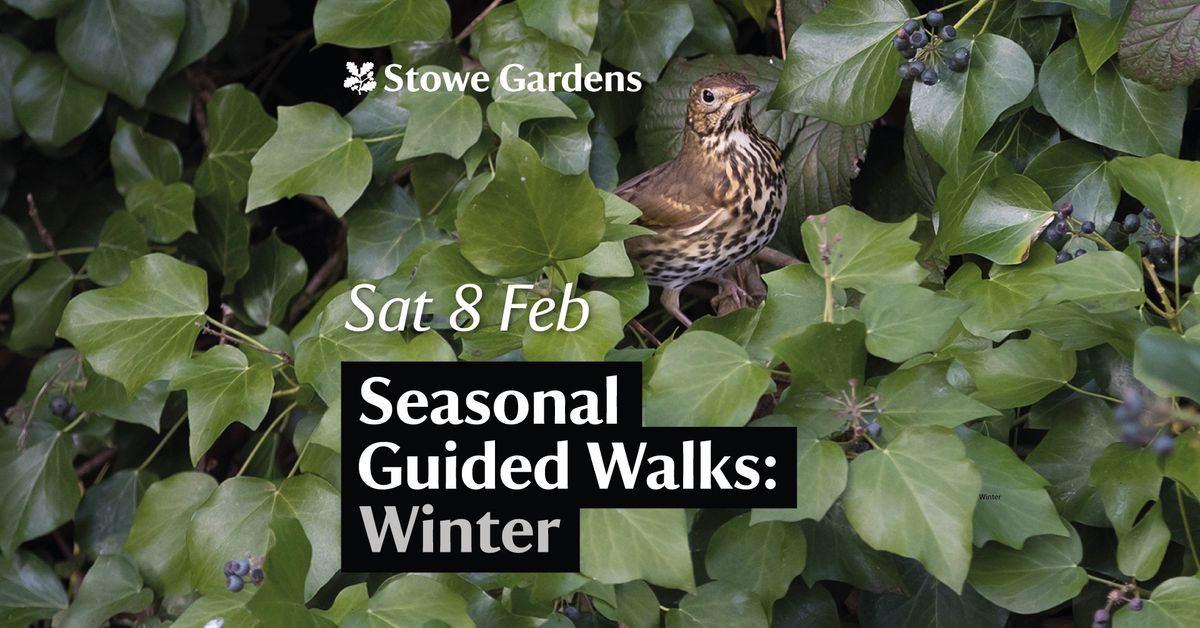 Seasonal Guided Walk: Winter at Stowe Gardens