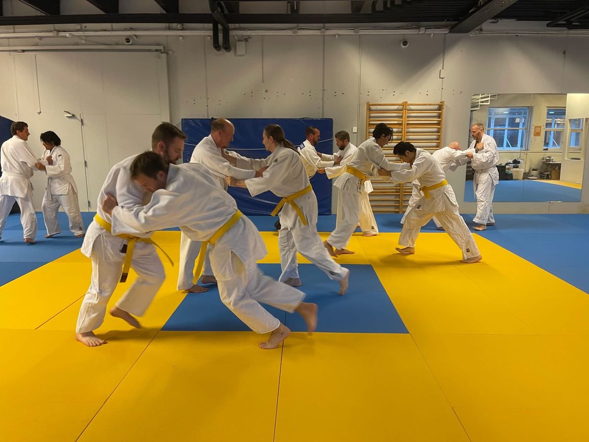  Voksen begynder kursus judo 