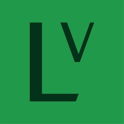 Little Village Detroit