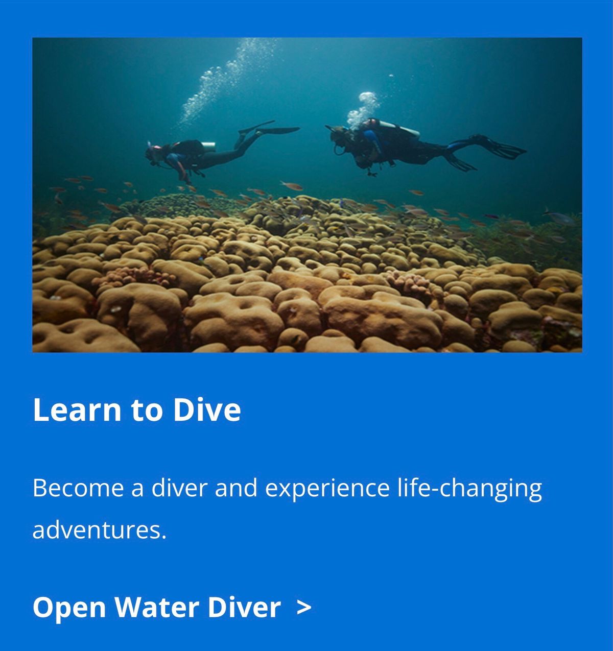 OPEN WATER DIVER CLASS