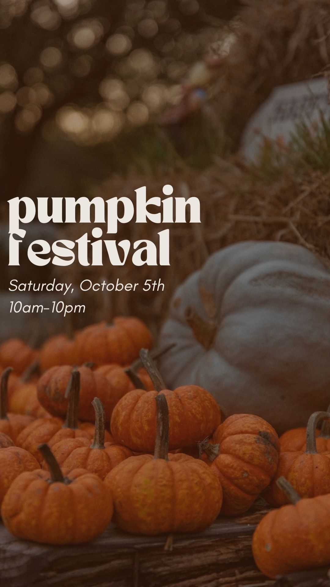 Pumpkin Patch Festival