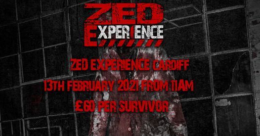 Zed Experience Cardiff