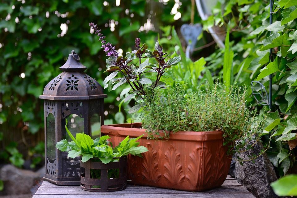 Windowsill Herb Garden Workshop at Copper Carriage 